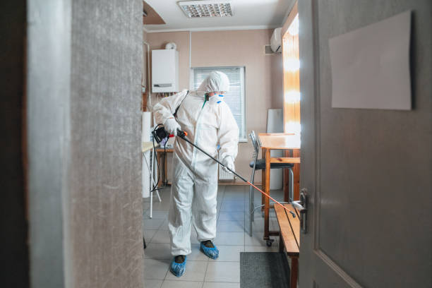 Best Post-Construction Mold Inspection  in Florida, NY